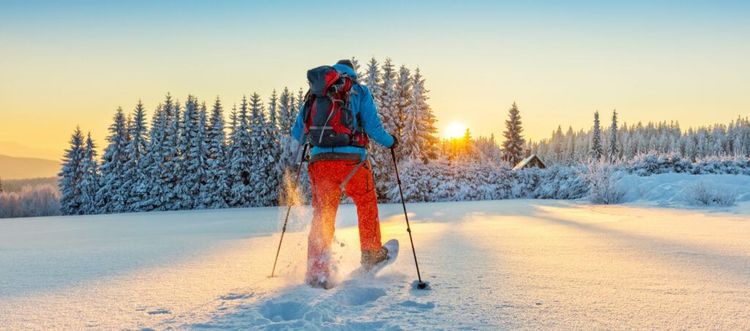 Why You Should Try Nordic Walking This Winter