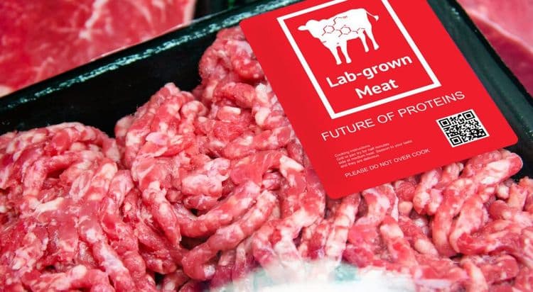 Lab-Grown Meat Exists (Nobody Wants to Eat It)