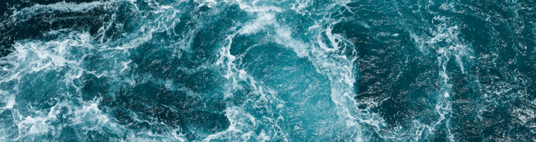 Scientists Found The "Death Ball" Creature In The Ocean
