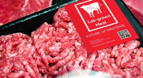 Lab-Grown Meat Exists (Nobody Wants to Eat It)